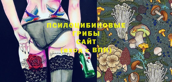 дурь Осташков