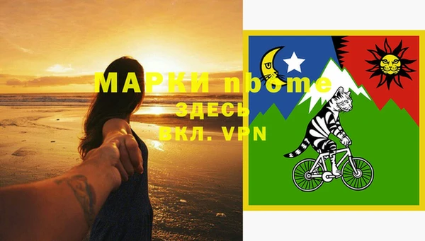 дурь Осташков