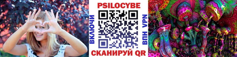 хочу наркоту  Елец  Галлюциногенные грибы мицелий 