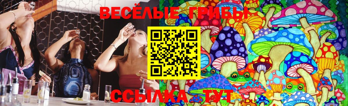 Елец  Галлюциногенные грибы Psilocybine cubensis  наркота  Вход с VPN  Галлюциногенные грибы прущие грибы 