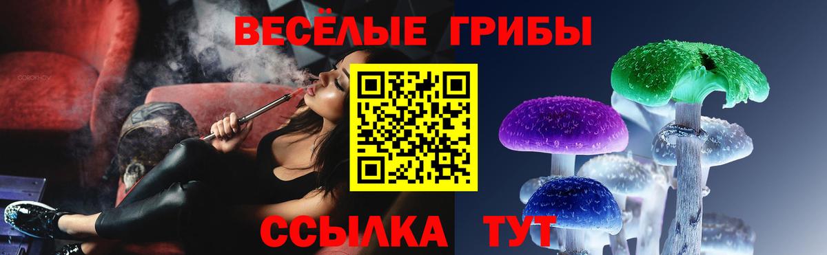 Псилоцибиновые грибы мухоморы Елец